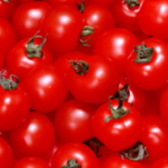 photo194.jpg
